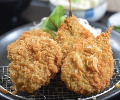 Fillet Katsu with Mackerel