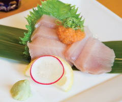 Albacore Sashimi