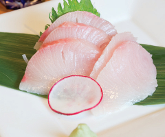 Yellowtail Sashimi