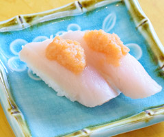 Albacore photo