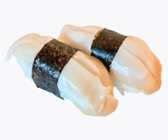 Conch Clam photo