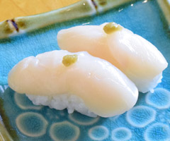 Scallop photo