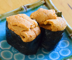 Sea Urchin photo