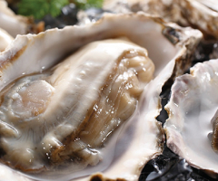 Three Kinds of Oyster Sampler