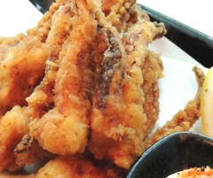 Squid Calamari photo